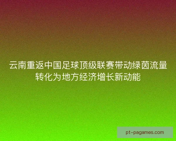 云南重返中国足球顶级联赛带动绿茵流量转化为地方经济增长新动能 云南重返中国足球顶级联赛带动绿茵流量转化为地方经济增长新动能